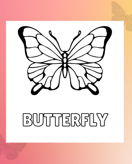 Butterflies Dreams Coloring Book