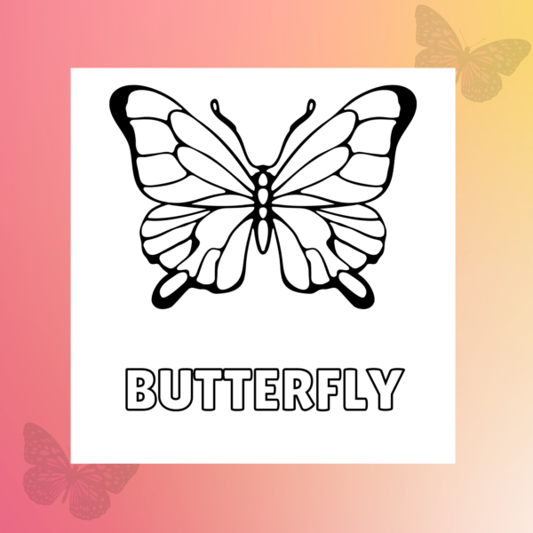 Butterfly Dreams Coloring Book