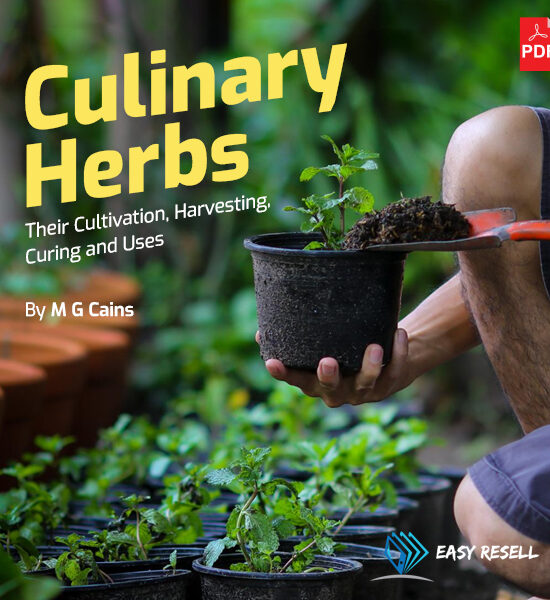 Guide to Spices & Culinary Herbs