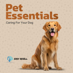 Caring for your Dog and training